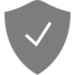 icons8 shield 100
