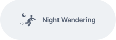 night wandering 2